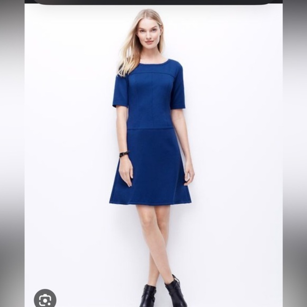 Ann Taylor Ponte Drop Waist Dress Short Sleeve Royal Blue size 4